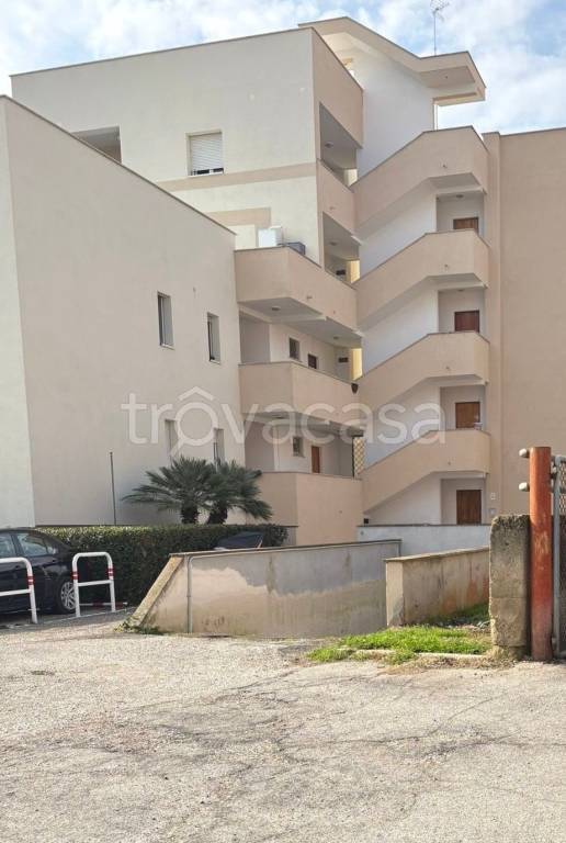 appartamento in vendita a Nettuno