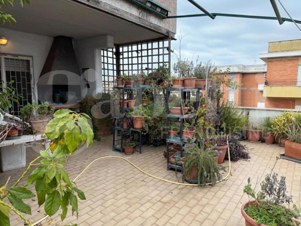 appartamento in vendita a Nettuno