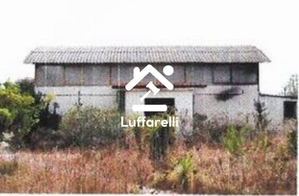 terreno agricolo in vendita a Nettuno