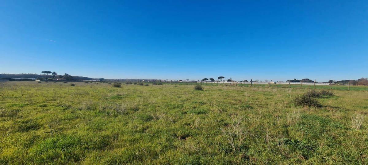 terreno agricolo in vendita a Nettuno