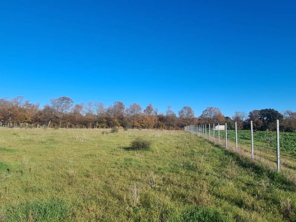 terreno agricolo in vendita a Nettuno