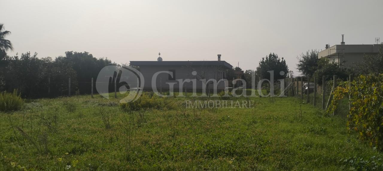 terreno agricolo in vendita a Nettuno