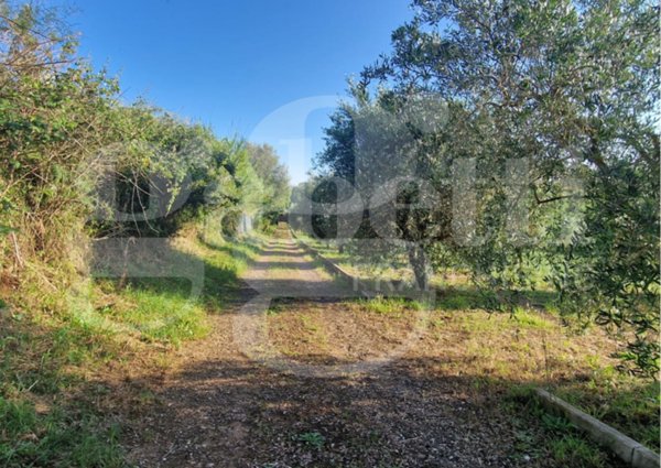 terreno agricolo in vendita a Nettuno