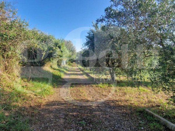 terreno agricolo in vendita a Nettuno