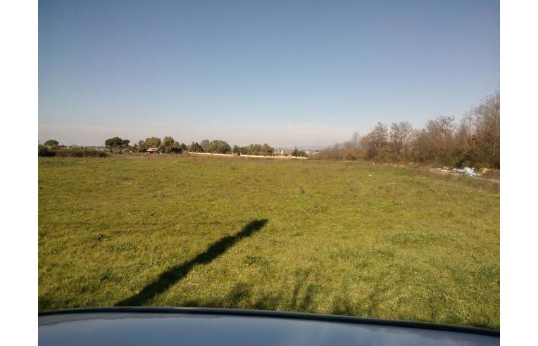 terreno agricolo in vendita a Nettuno in zona Padiglione