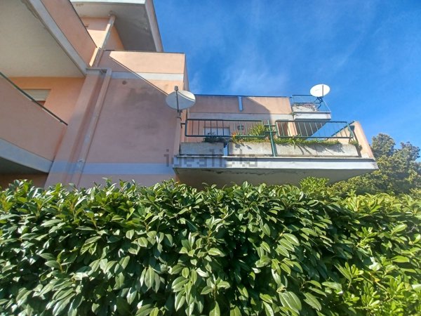 appartamento in vendita a Nettuno