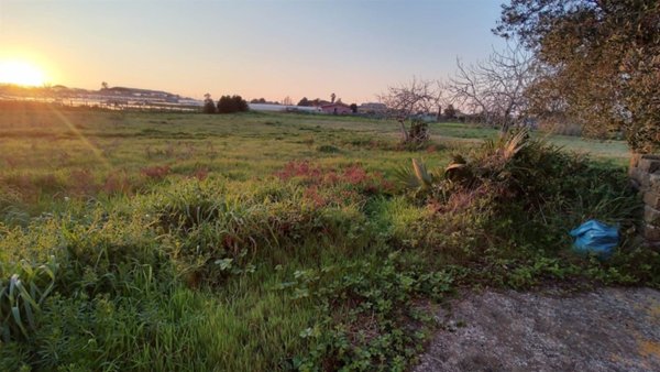terreno agricolo in vendita a Nettuno