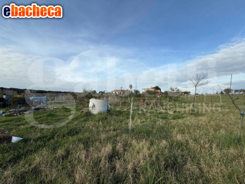 terreno edificabile in vendita a Nettuno