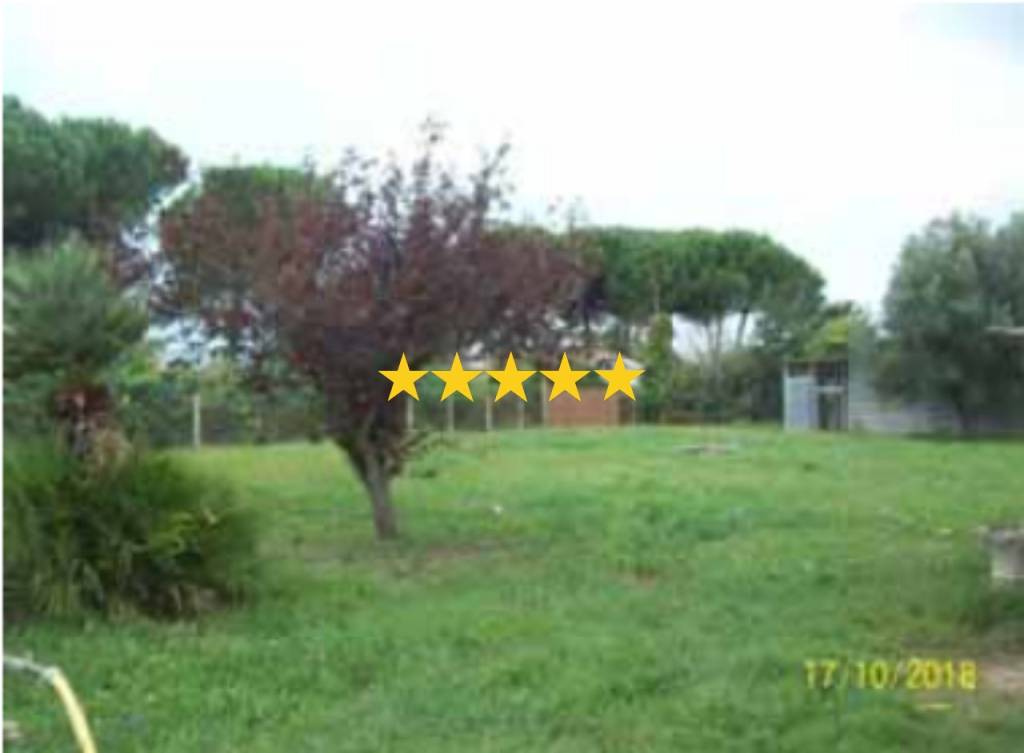 appartamento in vendita a Nettuno