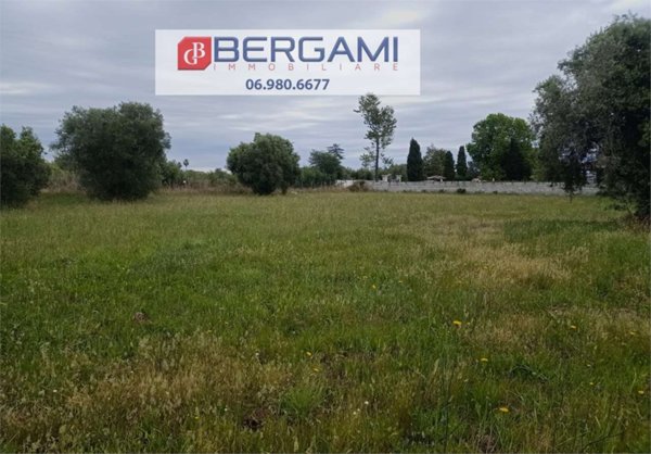 terreno agricolo in vendita a Nettuno