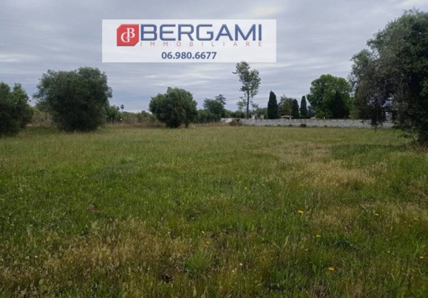 terreno agricolo in vendita a Nettuno