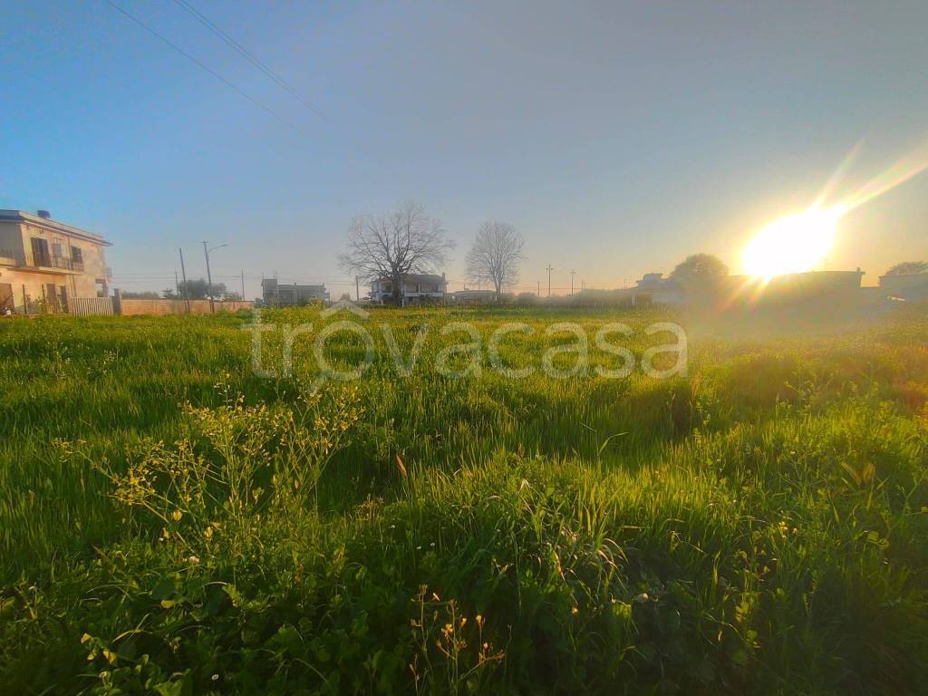 terreno agricolo in vendita a Nettuno