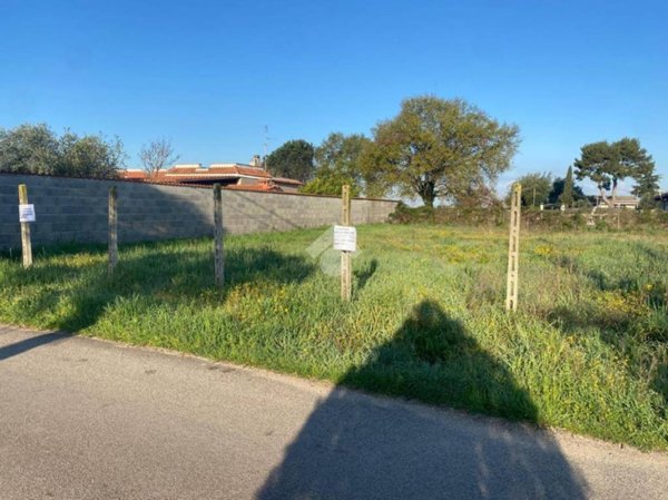terreno agricolo in vendita a Nettuno