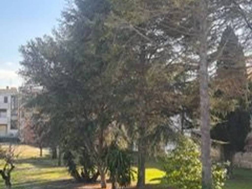 appartamento in vendita a Nettuno