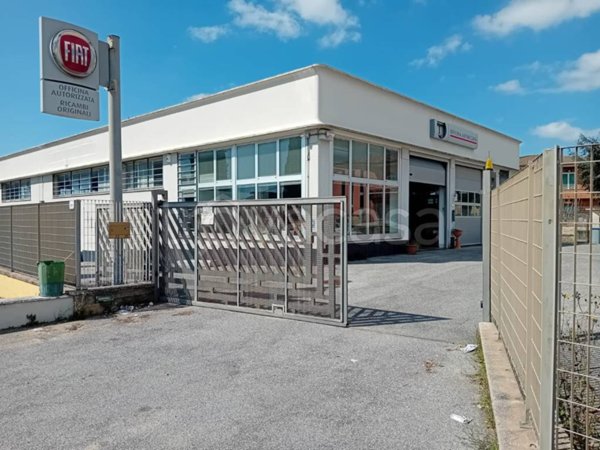 locale commerciale in vendita a Nettuno