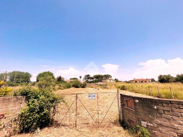 terreno agricolo in vendita a Nettuno