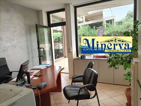 negozio in vendita a Nettuno