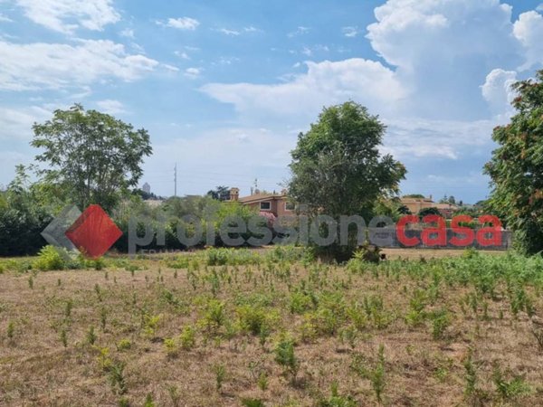 terreno agricolo in vendita a Nettuno