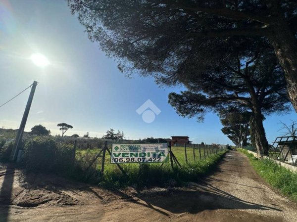 terreno agricolo in vendita a Nettuno