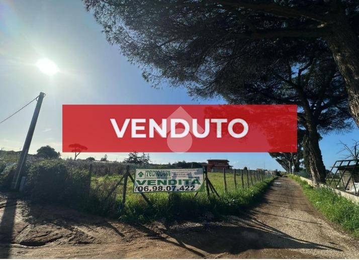 terreno agricolo in vendita a Nettuno