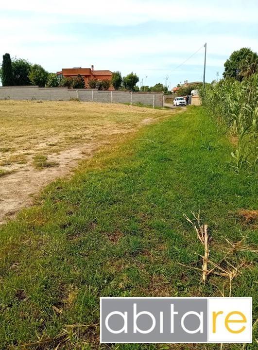 terreno agricolo in vendita a Nettuno