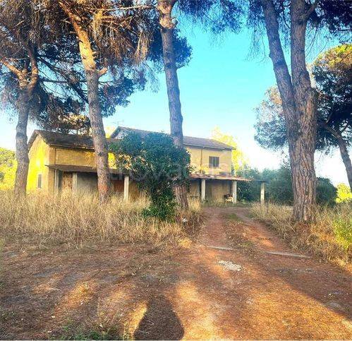 terreno edificabile in vendita a Nettuno