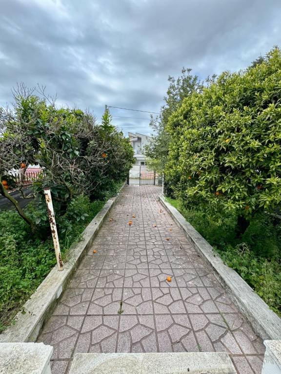 appartamento in vendita a Nettuno