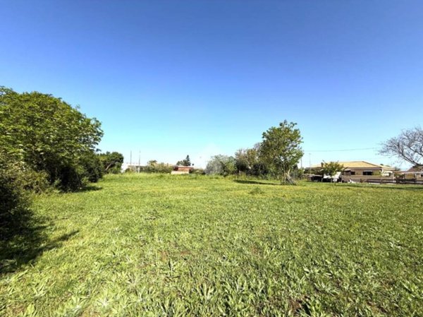 terreno agricolo in vendita a Nettuno
