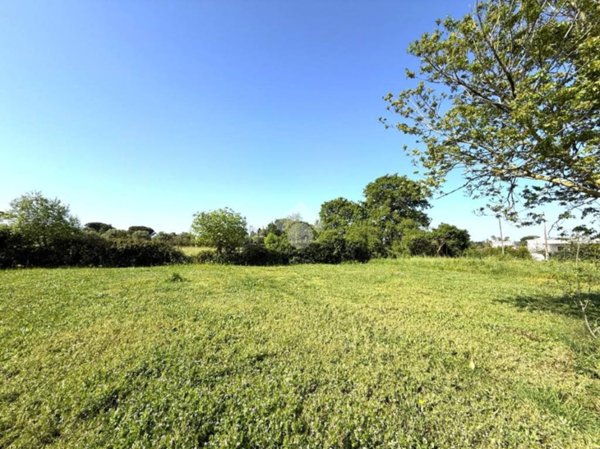 terreno agricolo in vendita a Nettuno