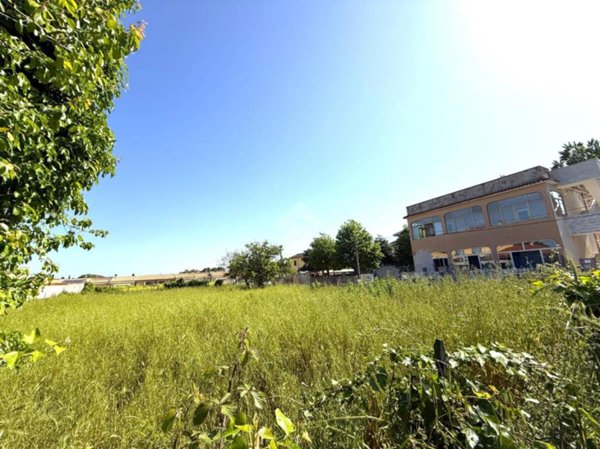 terreno agricolo in vendita a Nettuno