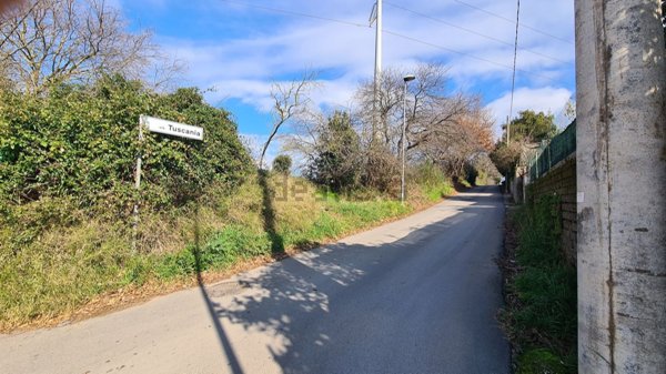 appartamento in vendita a Nettuno