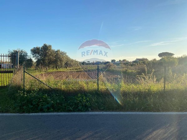 terreno edificabile in vendita a Nettuno