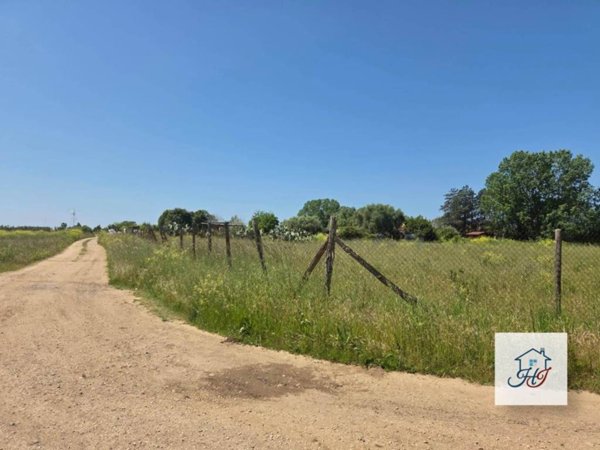 terreno agricolo in vendita a Nettuno