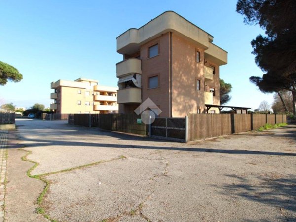 appartamento in vendita a Nettuno in zona Padiglione