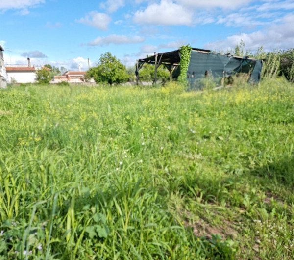 terreno agricolo in vendita a Nettuno