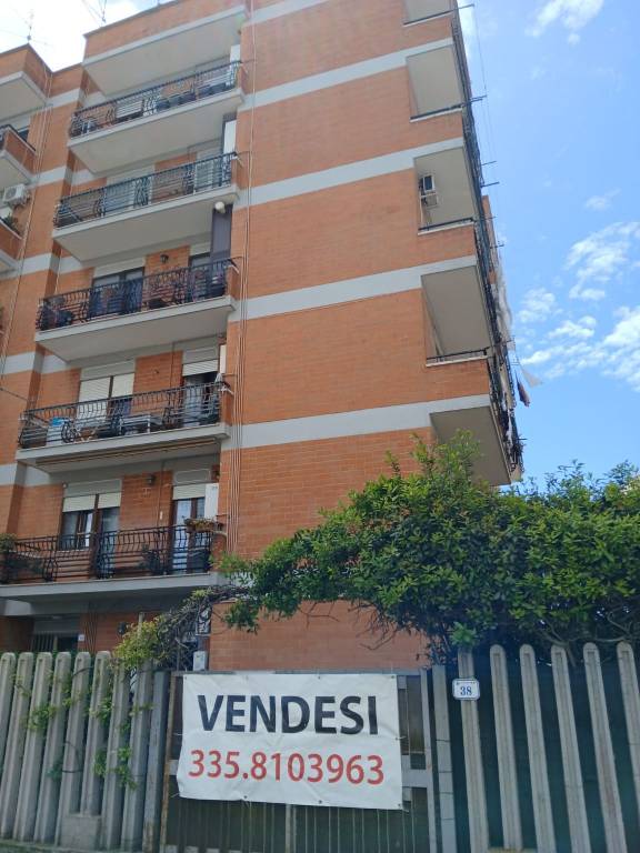 appartamento in vendita a Nettuno