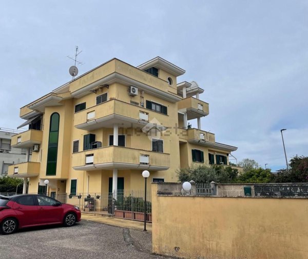 appartamento in vendita a Nettuno