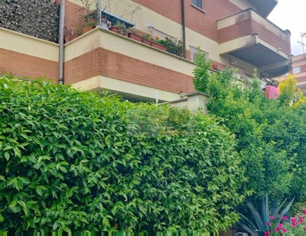 appartamento in vendita a Nettuno