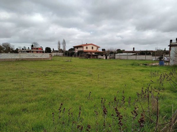 terreno agricolo in vendita a Nettuno