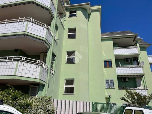 appartamento in vendita a Nettuno