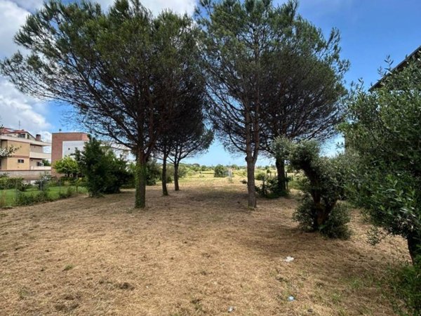 terreno agricolo in vendita a Nettuno