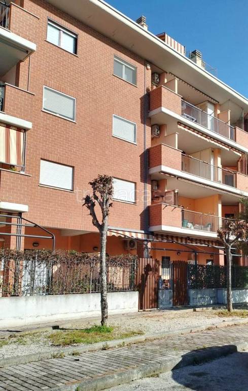 appartamento in vendita a Nettuno