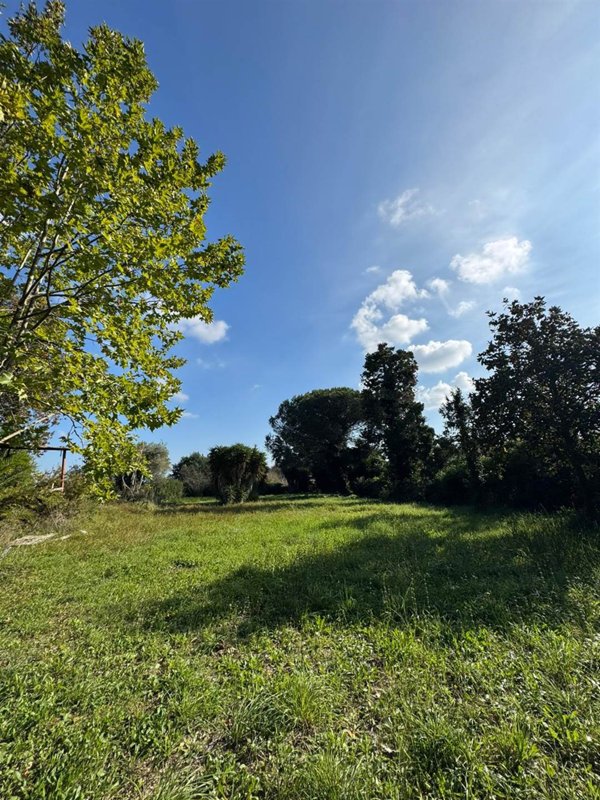 terreno agricolo in vendita a Nettuno