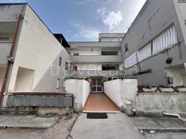 appartamento in vendita a Nettuno