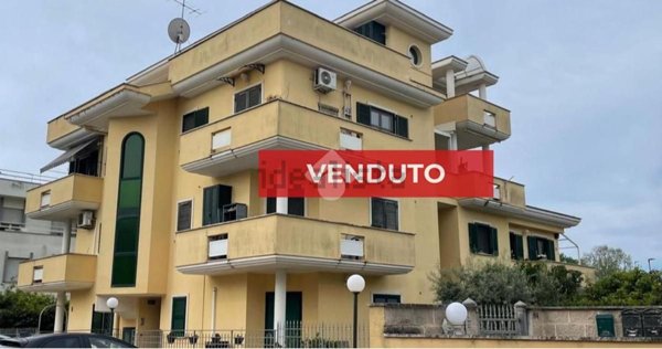 appartamento in vendita a Nettuno