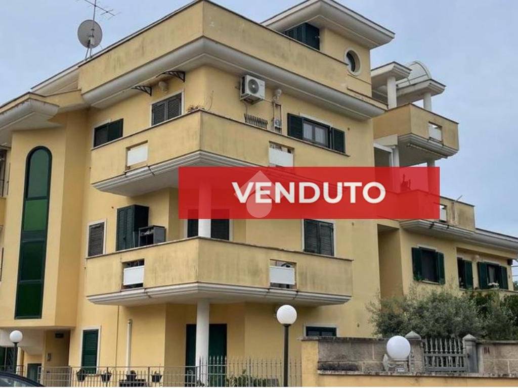 appartamento in vendita a Nettuno