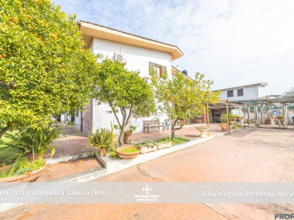 casa indipendente in vendita a Nettuno