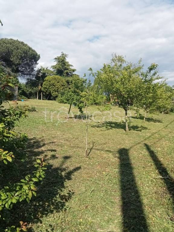 terreno agricolo in vendita a Nettuno