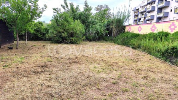terreno agricolo in vendita a Nettuno