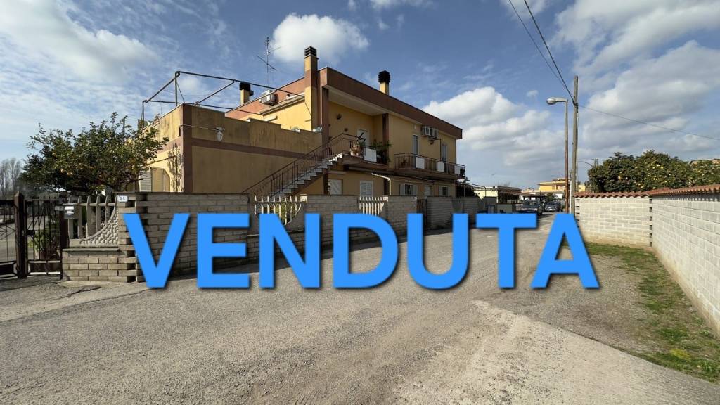 appartamento in vendita a Nettuno